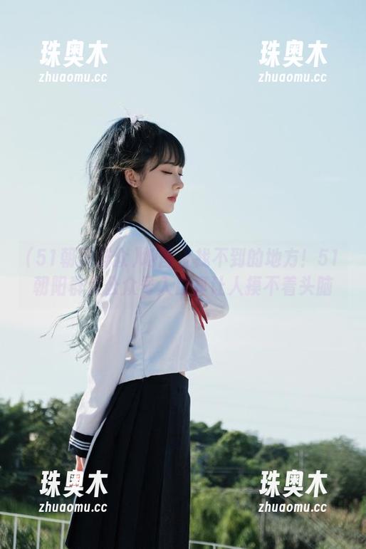 地图上找不到的地方！51朝阳群众公众号入口真让人摸不着头脑