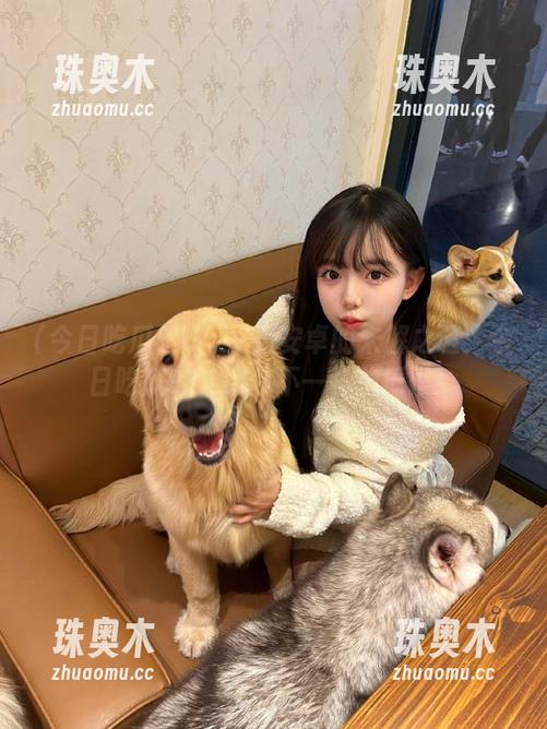 今日吃瓜911 又是安卓的未解之谜:今日吃瓜911给你不一样的瓜报!