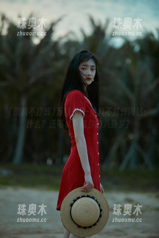 万篇长征-黑料不打烊网站：什么？还可以下载你的八卦梦？