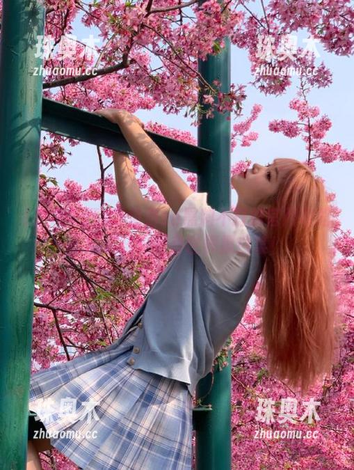 黑料不打烊 免费so黑料不打烊官网攻略,欢迎莅临神奇世界撩白菜!