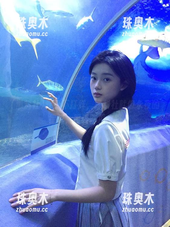 观看不打烊，黑料社就像永夜的星光，照亮吃瓜之路