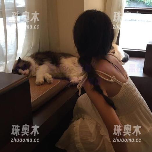 黑社料 又到在线“收割”的时候,黑社料下载需谨慎哦